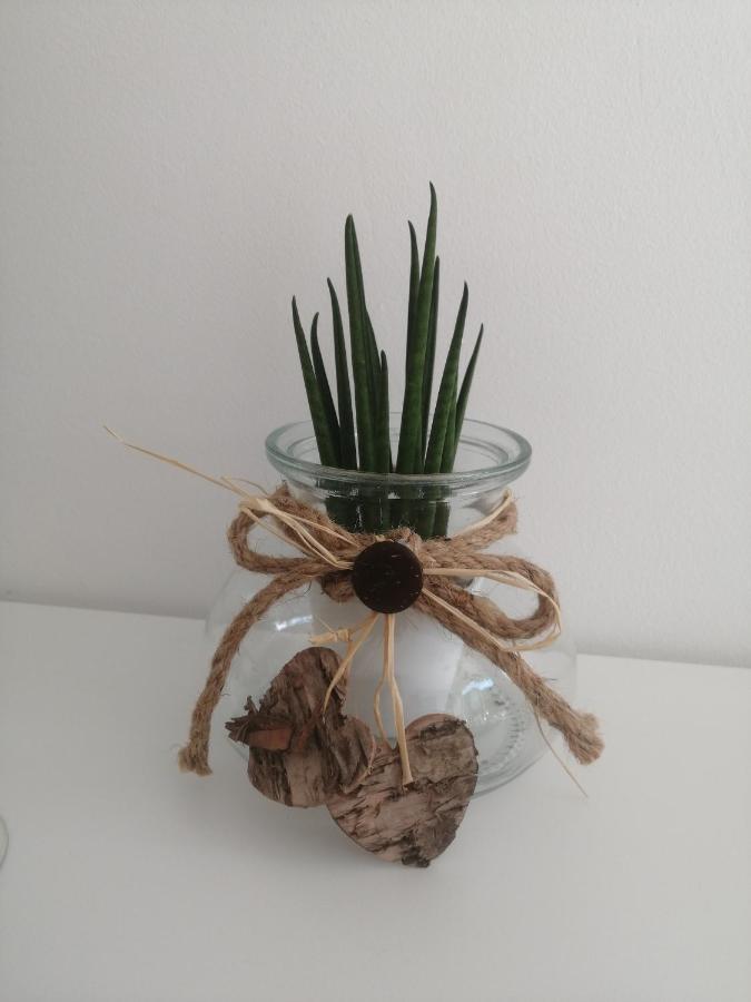 Apartma Pinea 波尔托罗 外观 照片