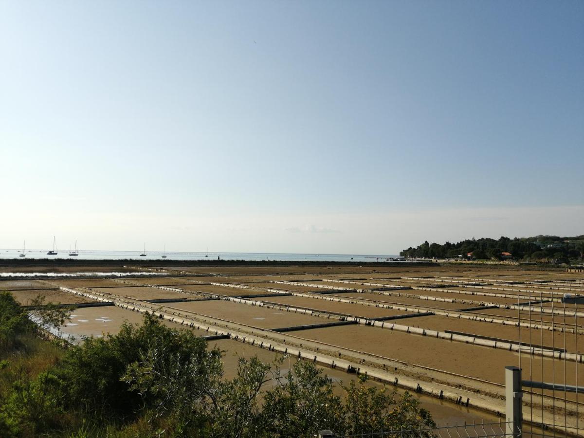 Apartma Pinea 波尔托罗 外观 照片
